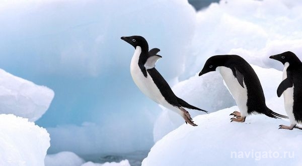 Нынешний октябрь гораздо теплее, чем 40 лет назад