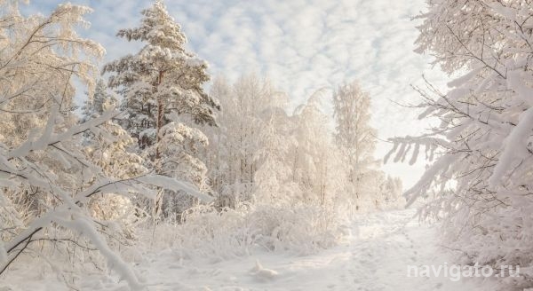В четверг придут новые метели