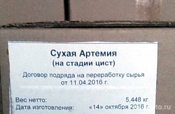 Полицейские задержали подозреваемых в незаконной добыче цист артемии