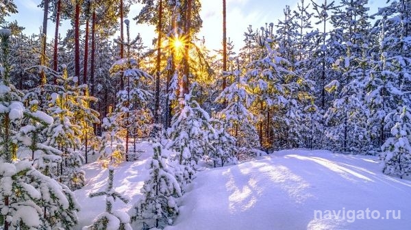 В ближайшие дни теплее не будет