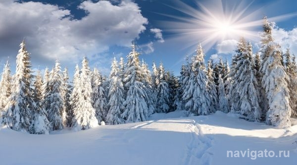 Крепитесь, впереди потепление