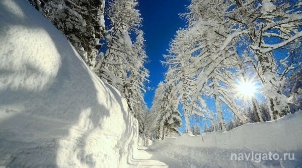 Прогноз погоды: погода будет ужасная