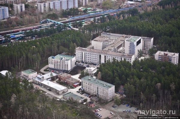 Суд обязал вернуть лесу три гектара земли около клиники Мешалкина