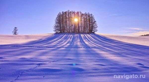 Новосибирцев ждет ночная оттепель