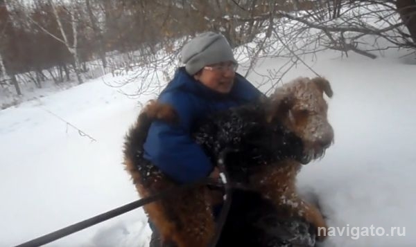 Спасатели освободили пса, просидевшего сутки в заброшенном погребе на ОбьГЭС