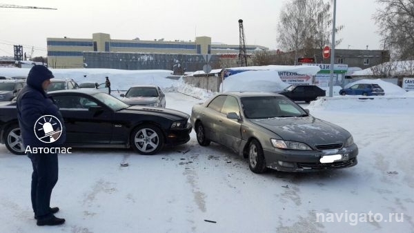 Мустанг попал в ДТП в Академгородке