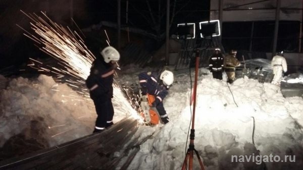 Владелец рухнувшего конного клуба признал вину в суде