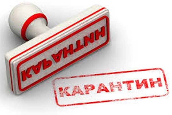 ОРВИ и гриппом болеют 8% детей