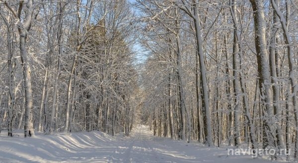 В ближайшие дни потеплеет
