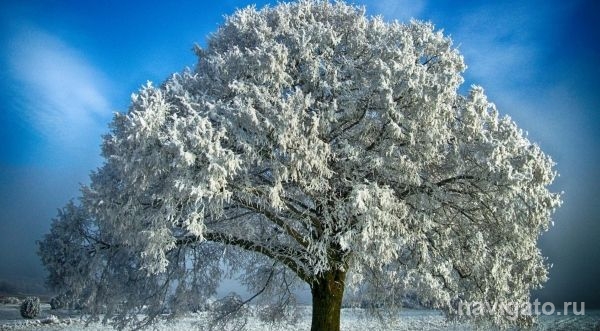 Новосибирцев ждут «температурные качели» с похолоданием до –30