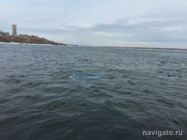 Жительница Приморской прервала подводную рыбалку