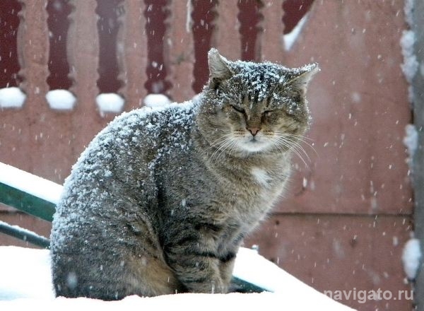 Заморозки до -12 градусов надует штормовой ветер на выходных