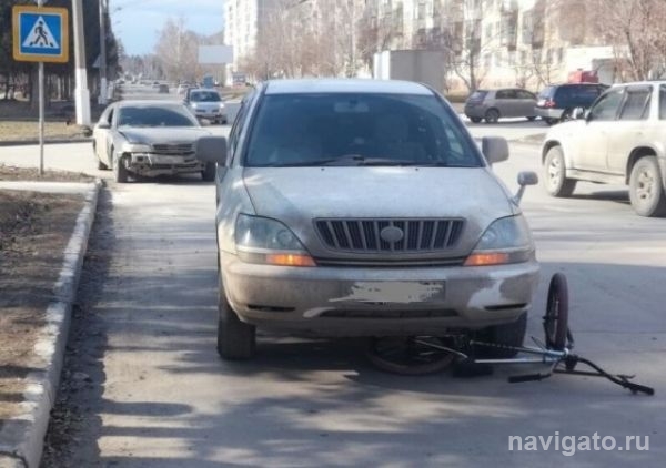 Автоледи на Toyota Harrier сбила 12-летнего велосипедиста на «зебре» в Бердске