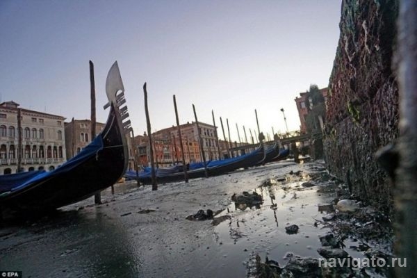 Паводковая ситуация в Новосибирске пока в норме