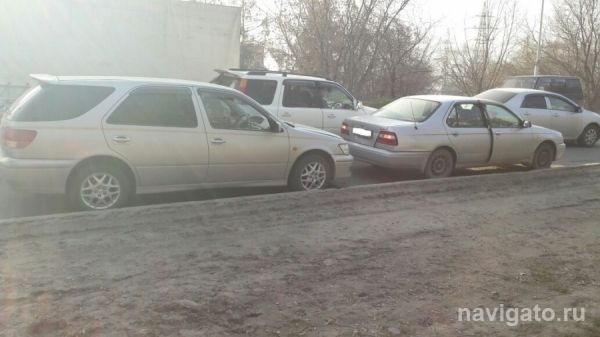 Водитель отвлекся на попугая и устроил ДТП на ОбьГЭС