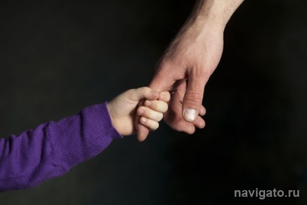 Бердчанка пытается отсудить племянницу у родной матери