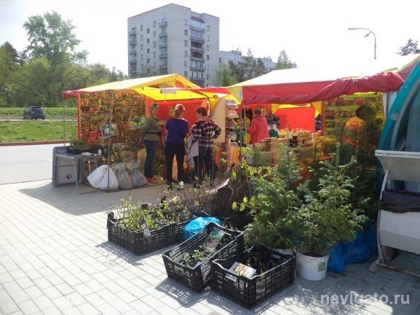  На «Сеятеле» открылись «Русские просторы»