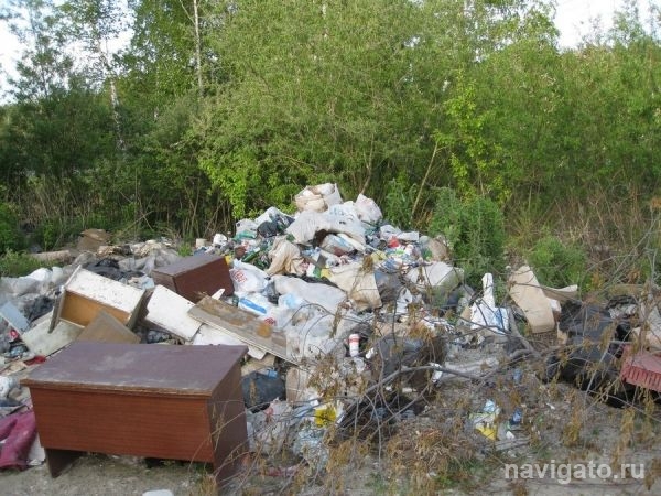 Свалку со Шлюза будут вывозить 30 мая