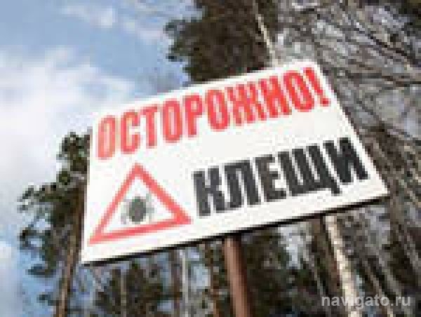 Берегите детей от клещей!