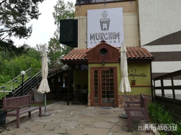 В Академгородке открылось котокафе