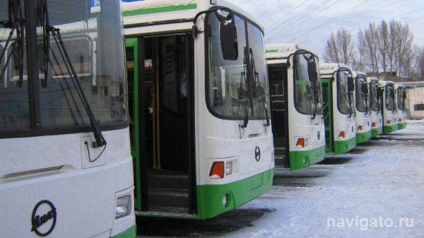 Как будет работать муниципальный транспорт Новосибирска в новогоднюю ночь