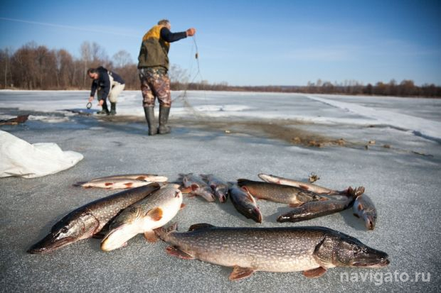 Биоресурсы – под контролем