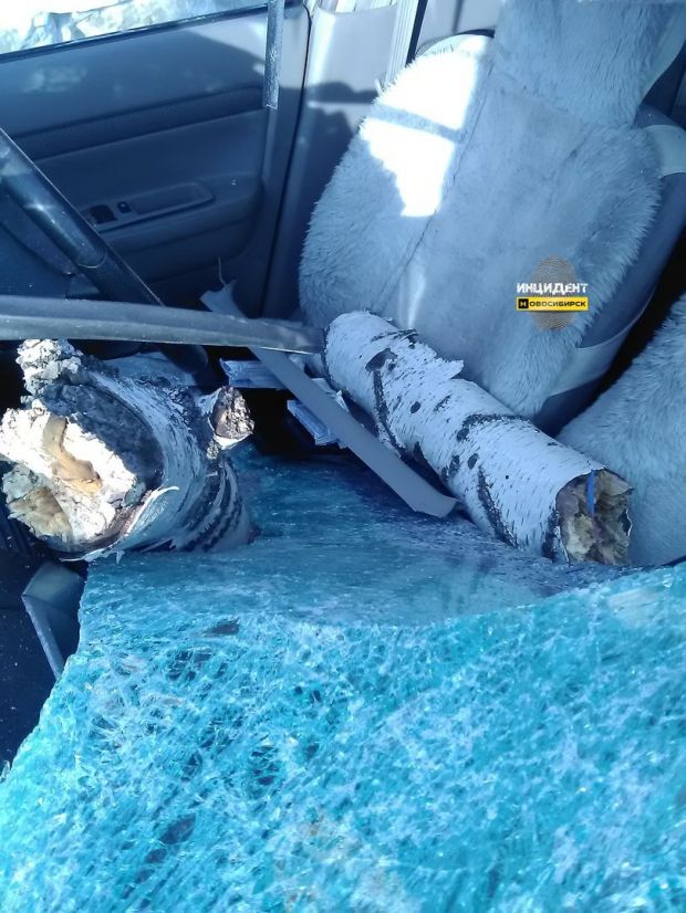Удар, которого не ждали: береза упала на автомобиль на Бердском шоссе