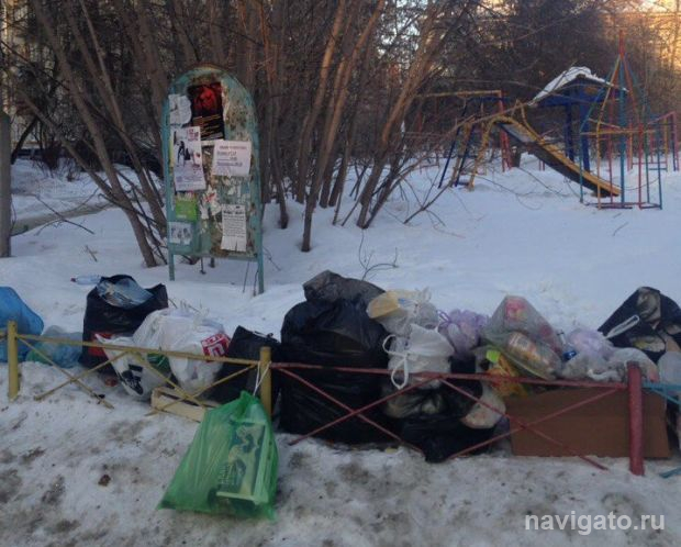 Куда и как вывозить твердые бытовые отходы, расскажут новосибирцам