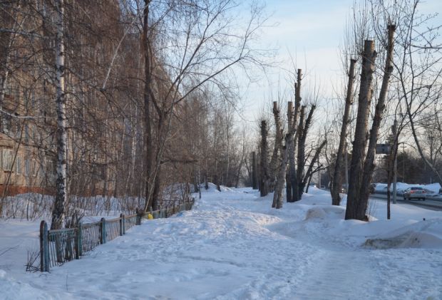 На Шлюзе хотят возобновить работу совета ТОС «Правые Чёмы»