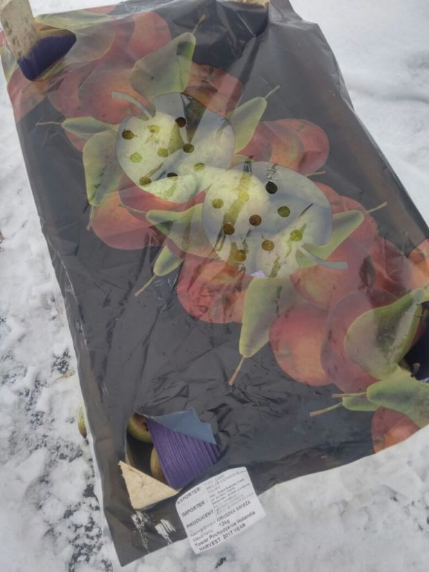 12 килограммов груш из Нидерландов отправлены на уничтожение в Новосибирске