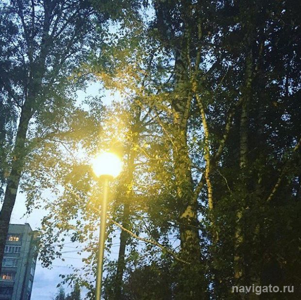 1 150 светильников для улиц Академгородка готова приобрести мэрия Новосибирска