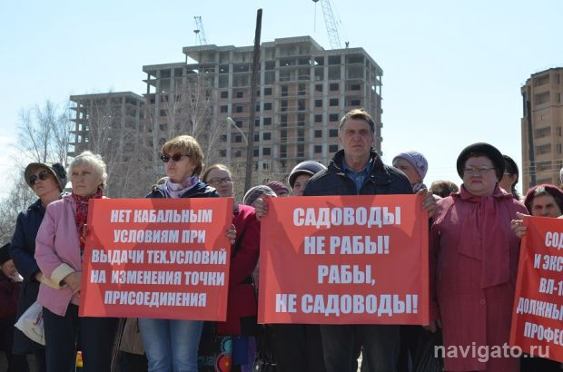 «Садоводы не рабы»: дачники из СНТ «Темп» и «Парус» вышли на митинг