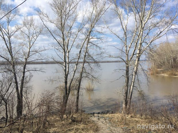 Длинные выходные: два пожара, поджоги травы и мусора, паводок