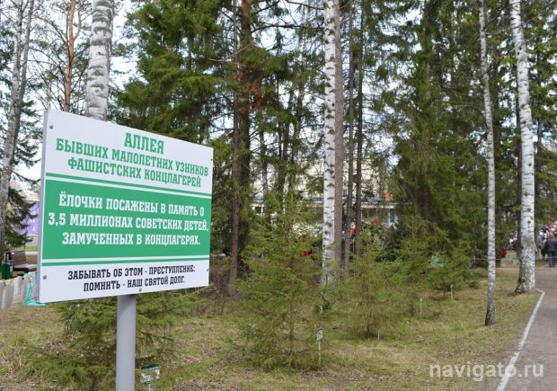 Аллея в память о бывших малолетних узниках фашистских лагерей преобразилась