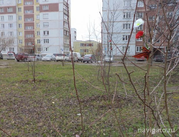 Живёт в аллее память о родных