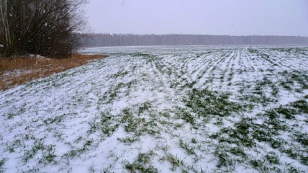 Режим ЧС могут ввести из-за погоды в Новосибирской области