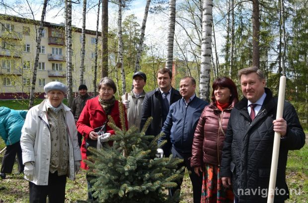 Голубые ели украсили сквер «Вальс Победы» в Академгородке