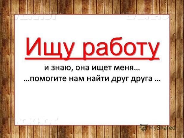 Самый низкий уровень безработицы за 15 лет отмечен в Советском районе