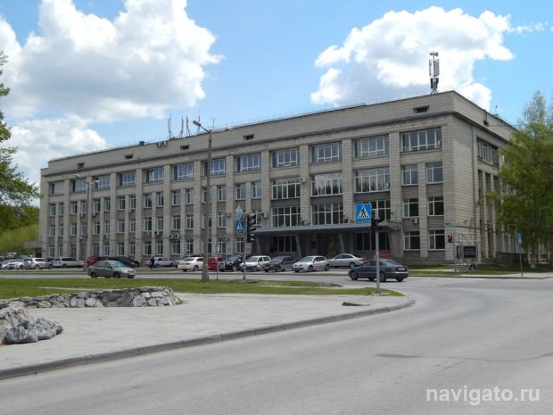 Более 6300 организаций работают в Советском районе