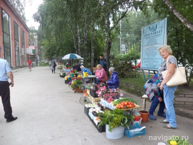 28 протоколов составили за неделю за торговлю в неустановленных местах