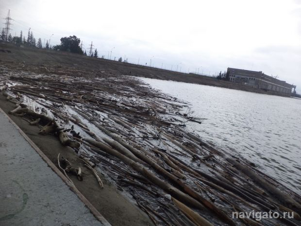 Собери и сотвори: парк «У моря Обского» поделится природным материалом