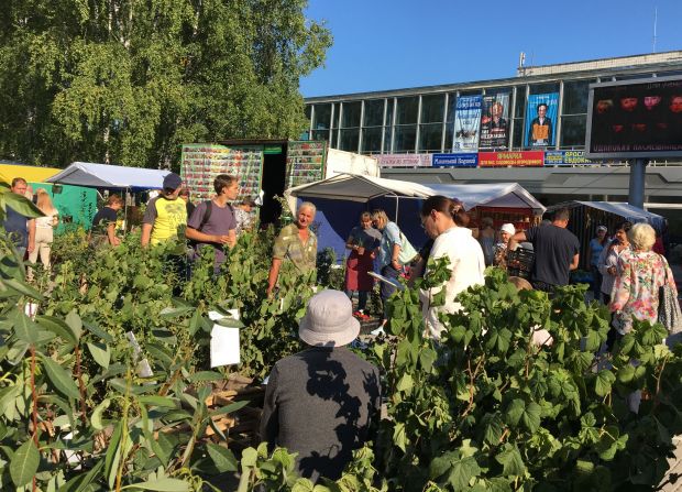 Около Дома учёных прошла традиционная ярмарка