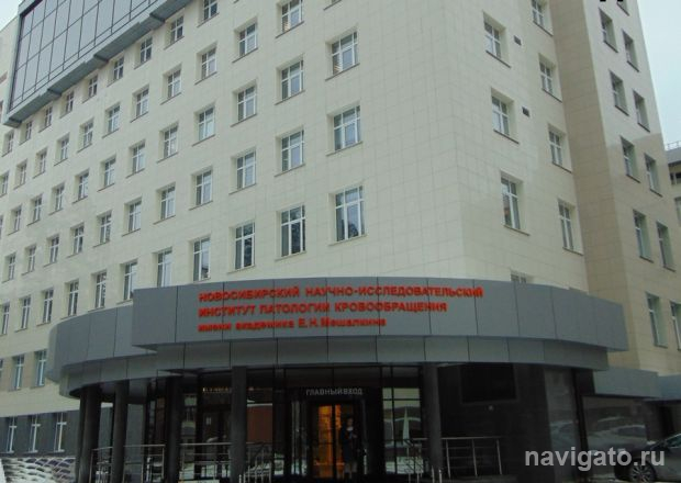 Клиника Мешалкина проведет третью лекцию в «Школе пациента»
