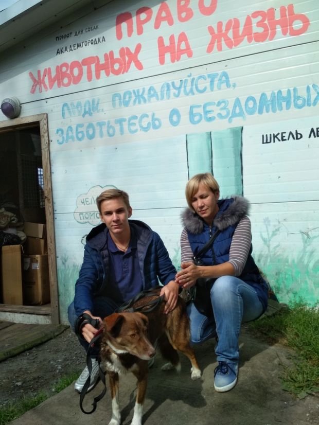 В пользу собак из приюта Академгородка проведут костюмированный карнавал