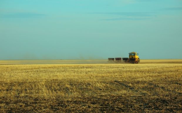 Режим ЧС в Новосибирской области: вводить или нет повторно?