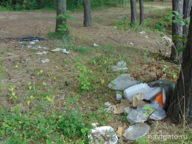 Во Всемирный день чистоты пройдет субботник в Чемском бору