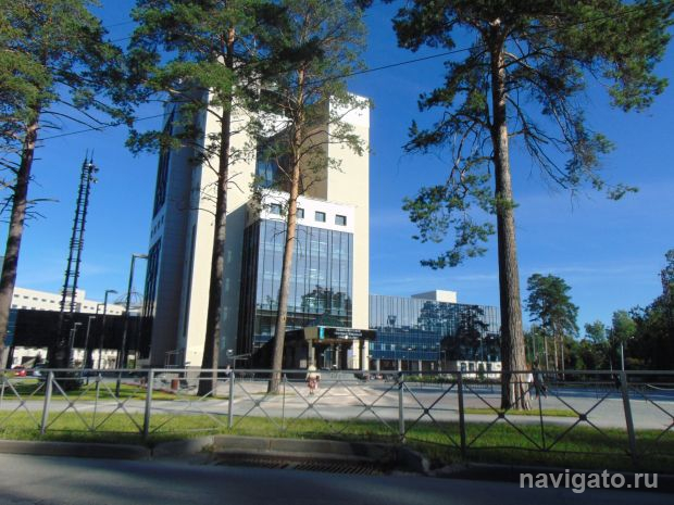 Пересмотрят режим работы светофора на перекрестке улицы Пирогова и Университетского проспекта