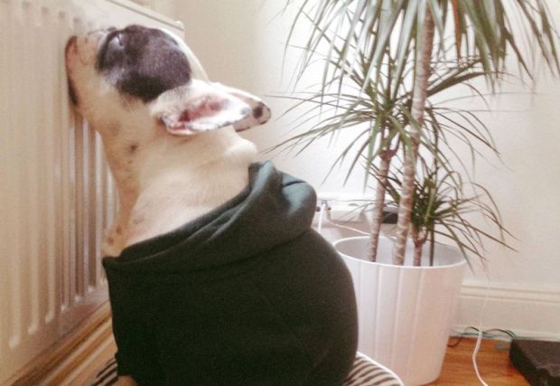 Мэр подписал постановление о начале отопительного сезона