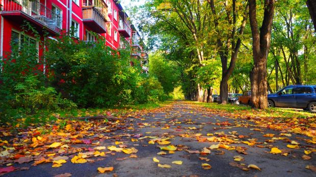 Три дня в Новосибирске будет тепло