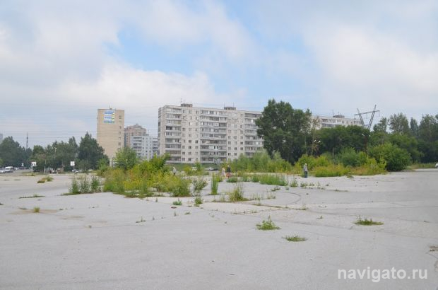 «Мы добьемся своего»: общественники Советского района продолжат борьбу за сквер